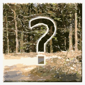 Forest Tree Computer Icons Lichtscheid The Shining - The Shining