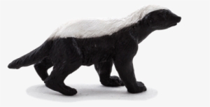 Honey Badger Male - Honey Badger Png