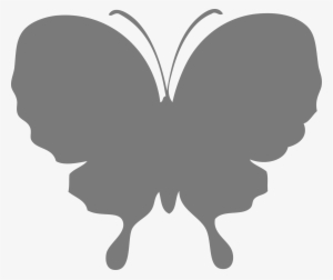 Butterfly 3 - Portable Network Graphics