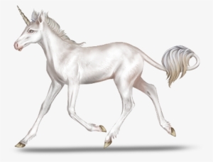 Baby Unicorn Beasteon - Unicorn