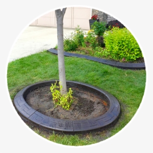 Landscaping Curbing In Edmonton - Concrete Landscape Curbing
