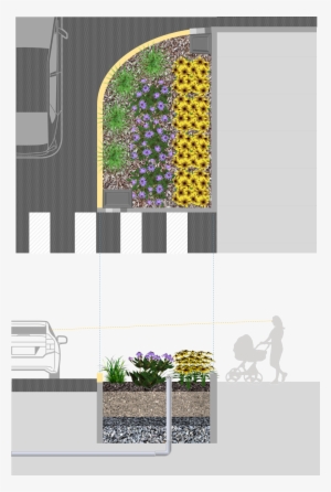 Curb Extension - Design