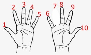 Index Finger In Hindi