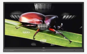 With Anti-glare - 55 Led Benq Rp553k-uhd, 350cd, 10tp
