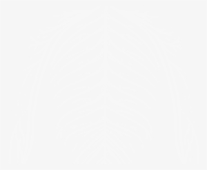 The Next 100 Years - Close Icon Png White