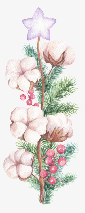 Hand Painted A Cotton Branch Png Transparent - Christmas Day