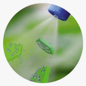 Funded By Hort Innovation And The Cotton Research Development - Fertilizer