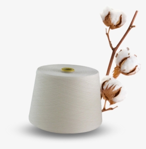 We Are From India's Highest Cotton Growing State - Cotton Plant