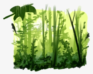 Rainforest Png Pic - Rainforest Animation