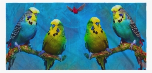 Budgie Beach Towel