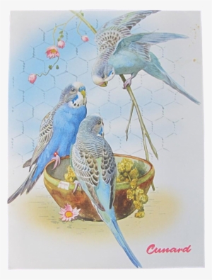 Mid Century Cruise Menu With Budgie Cover - Budgie