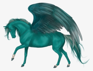 Rainforest - Stallion
