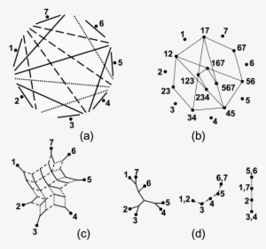 3 Colored System Of 18 Chords Of A Circle That Separate - Circle