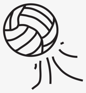 The Telegraph - Love Volleyball