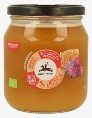 Organic Italian Wildflower Honey - Alce Nero Spa Honey Orange Italian Bio300g