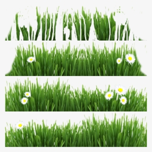 Grass12 - Fresh Green Grass On White Backround Throw Blanket