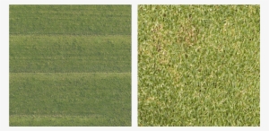 Here Are Two Grass Textures - Logo