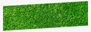 When Signing Up For Full Service Landscaping Plans - Grass Texture Seamless