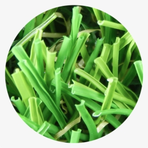 Texture Designed - Grass