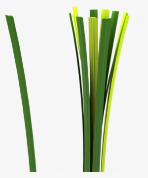 Blog 4 Glattes Filament - Blog