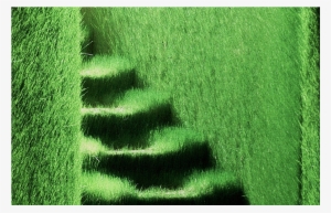 Ackroyd & Harvey - Ackroyd & Harvey