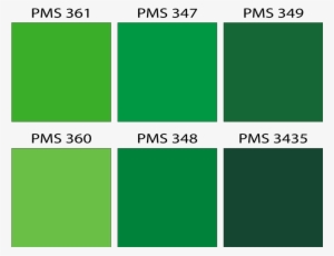 Pms-colors - Pms Dark Green