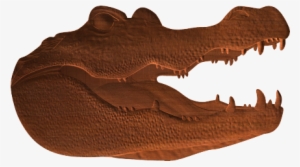 American Crocodile