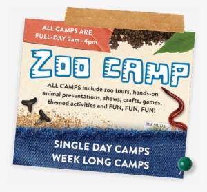 Our Qualified Educators Guide Groups Of No Larger Than - St. Augustine Alligator Farm Zoological Park