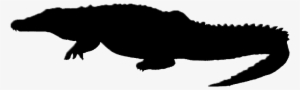 Alligator Clipart Silhouette - Silhouette Of A Crocodile
