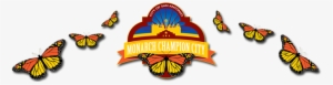 The Mayor's Monarch Pledge Solidifies Our Dedication - Monarch Butterfly