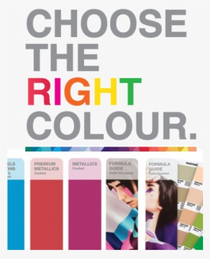 Show Your True Colours With Pantone™ Colour Guides - Pantone Plus Solid Guide Set