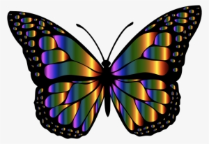 Medium Image - Monarch Butterfly Butterfly Clip Art