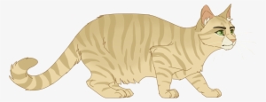 100 Warrior Cats Challenge - Sandstorm Warrior Cats Design