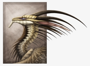 Eid Muzafr - Sandstorm - Sandstorm