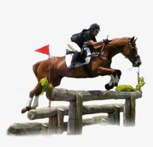 Powered - Transparent Cross Country Horse