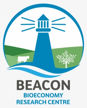 New Beacon Website Coming Soon - Research