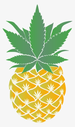 As An Aloha To Anyone Who Stops By You Can Add Fresh - Bomba Dischi