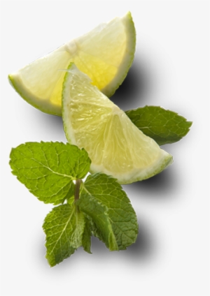 Limeandmint - Mint And Lime Png