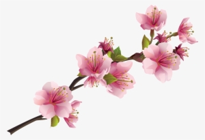 Sakura Pink Flowers Png Free Images - Orange Venue Japon Kiraz Çiçeği Kırlent Kılıfı - 45x45