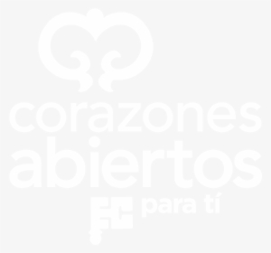 V Esp Line Reverse - Khaled Hosseini Tausend Strahlende Sonnen