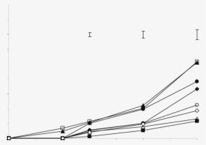 Development Of Rust In First Sign Of Rust, 1 S (white - Wire
