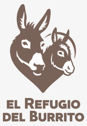Home - Donkey Sanctuary Ireland Logo