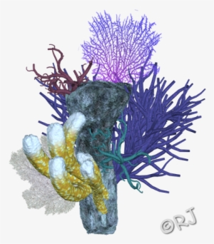 Coral Reef Png - Floral Design