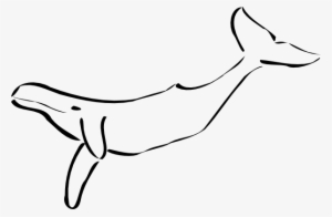 Free Vector Whale Clip Art - Outline Of A Whale