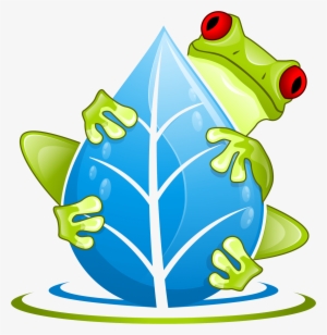 The Swamp School Just Frog Png - Frog Falling Down Png