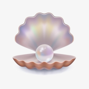 Pearl Download Png Image - Open Clam Shell Vector