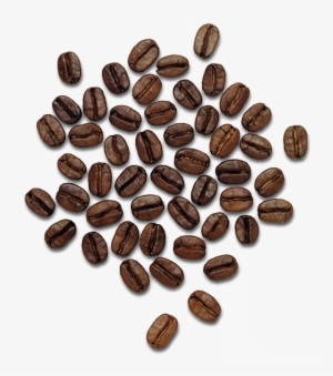 Coffee Beans Png Image - Dolce Gabbana The Only One