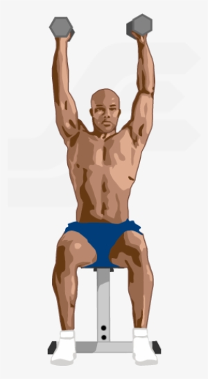 Dumbbell Shoulder Press - Biceps Curl