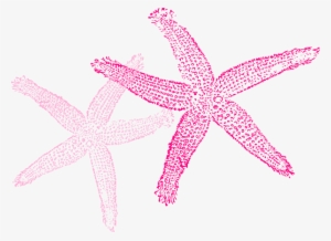 Small - Fish Clip Art