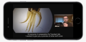 Section 508-compliant Captioning And Accessibility - Iphone